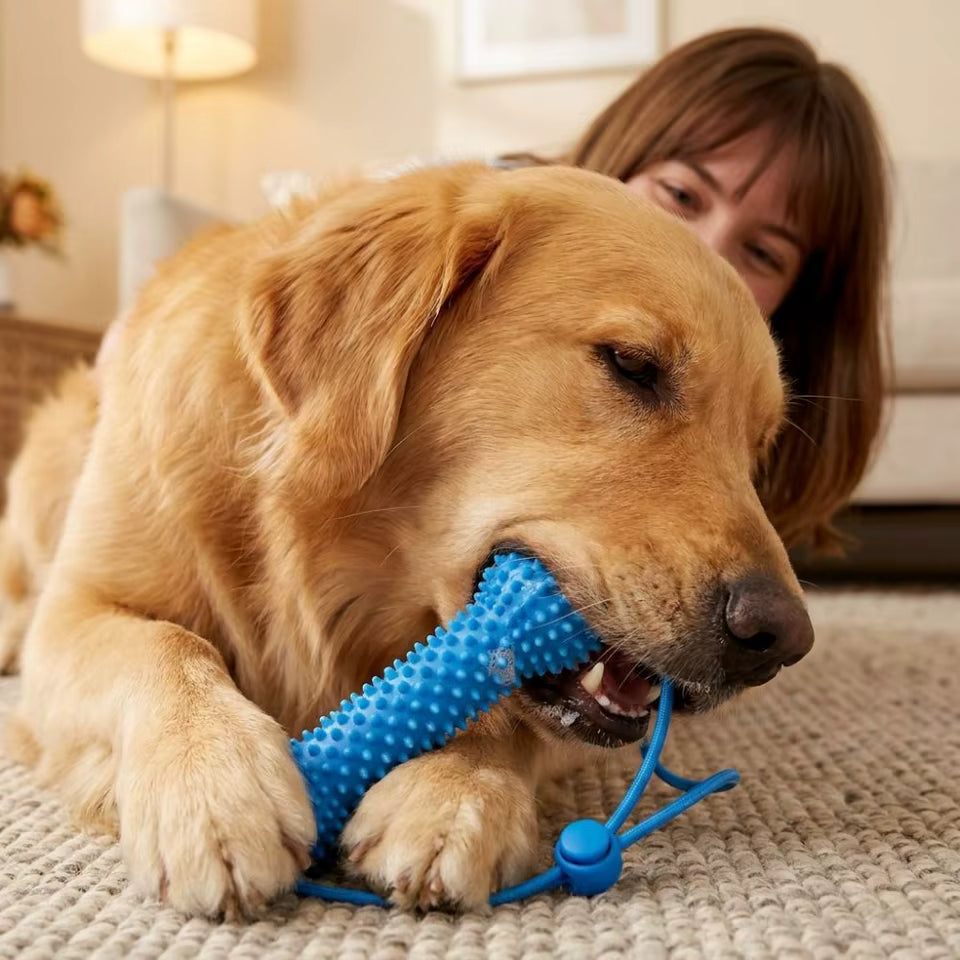 Dog Dental Strap