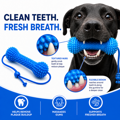 Dog Dental Strap