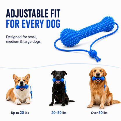 Dog Dental Strap