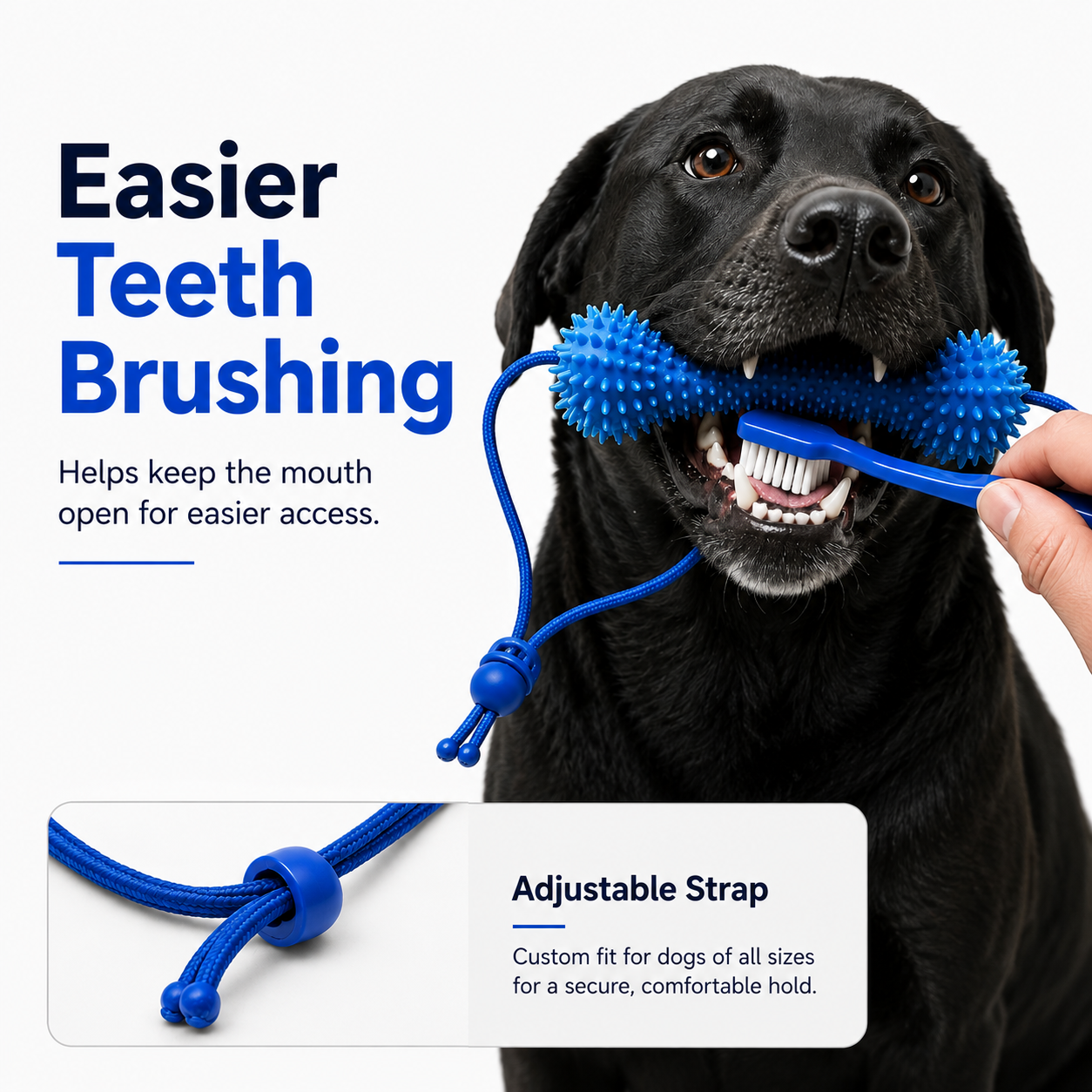Dog Dental Strap
